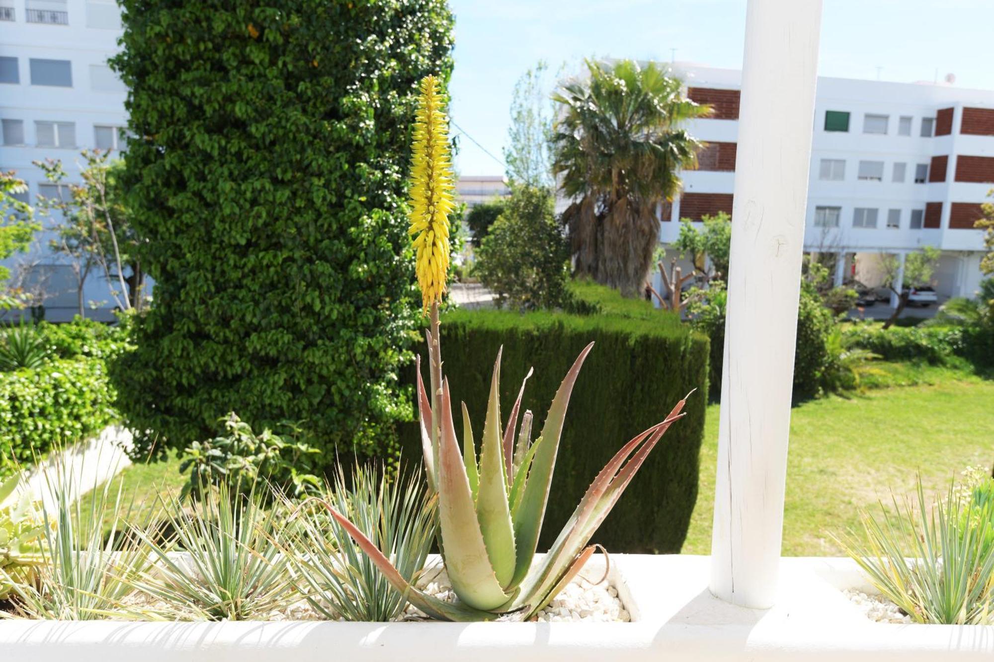 Stories Javea - Cosy Boho Apartment El Arenal - Toplocation - 250M From The Beach! Zewnętrze zdjęcie